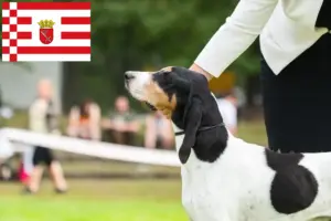 Scopri di più sull'articolo Allevatori di cani da caccia svizzeri e cuccioli a Brema