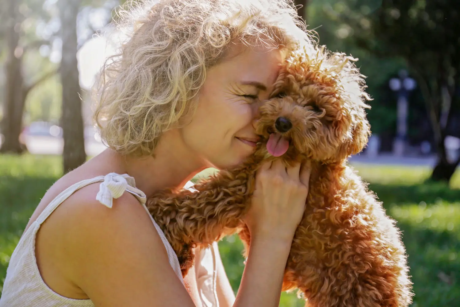 Acquistare un cucciolo di Maltipoo significa assumersi delle responsabilità! Comprare cuccioli di Maltipoo.