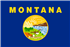 Allevatore di Lagotto Romagnolo in Montana,MT, Mont. Allevatore di Lagotto Romagnolo in Montana,MT, Mont.