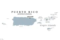Allevatori di Lagotto Romagnolo a Porto Rico,Estado Libre Asociado de Puerto Rico Allevatori di Lagotto Romagnolo a Porto Rico,Estado Libre Asociado de Puerto Rico