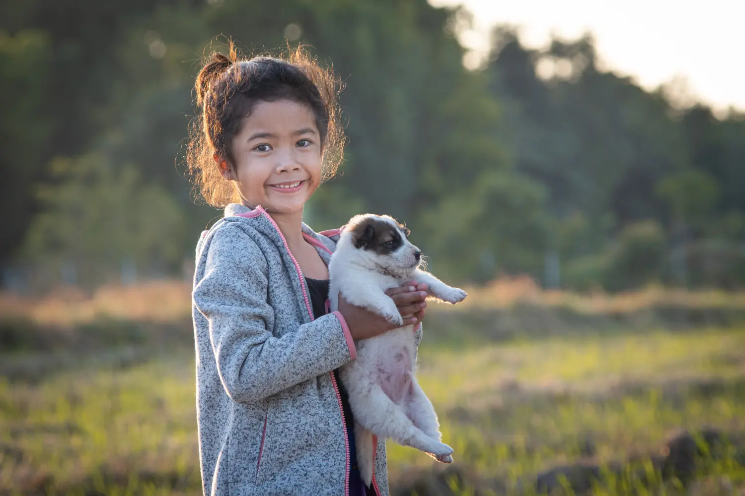 Cane Thai Bangkaew - Il mio amore per questa razza canina. Perché amo il Thai Bangkaew Dog